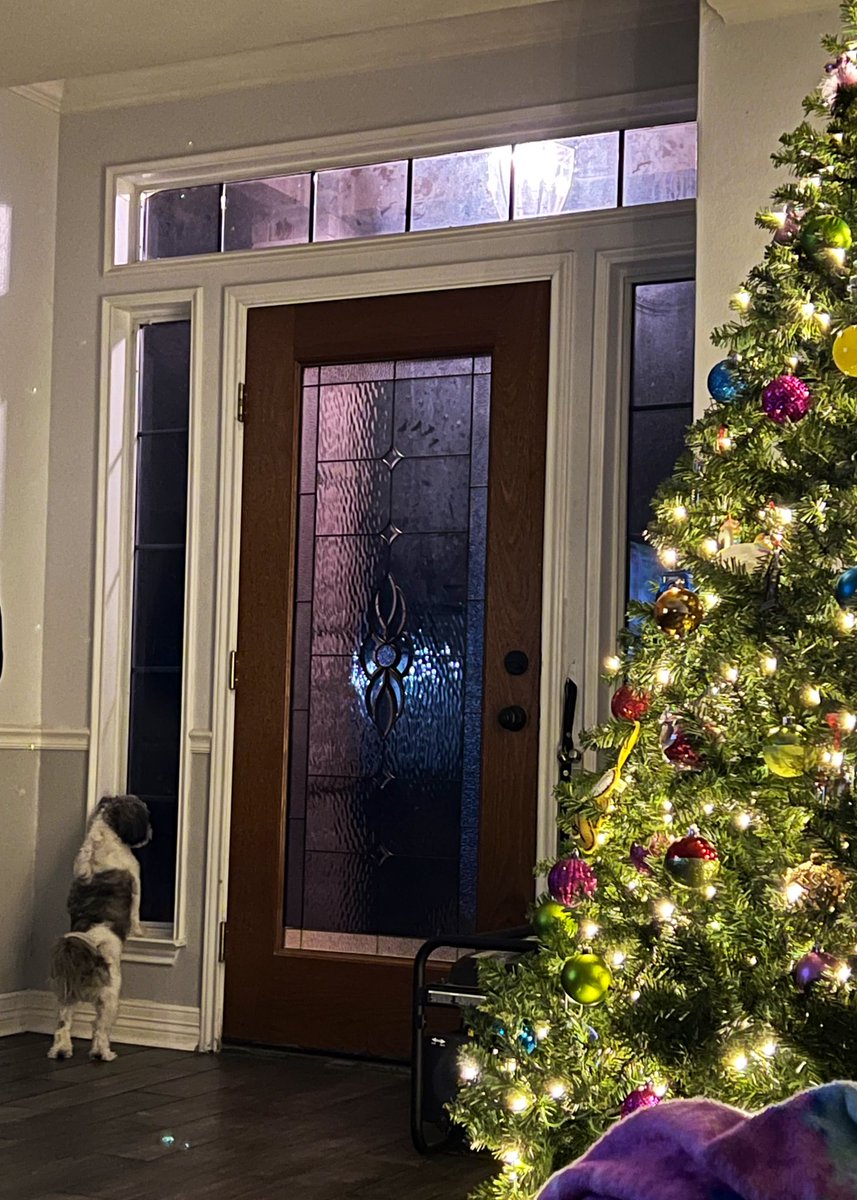 Waiting for <a href="/Uhhboy/">Dr. Sucio🗯</a> to get home 🖤🐾