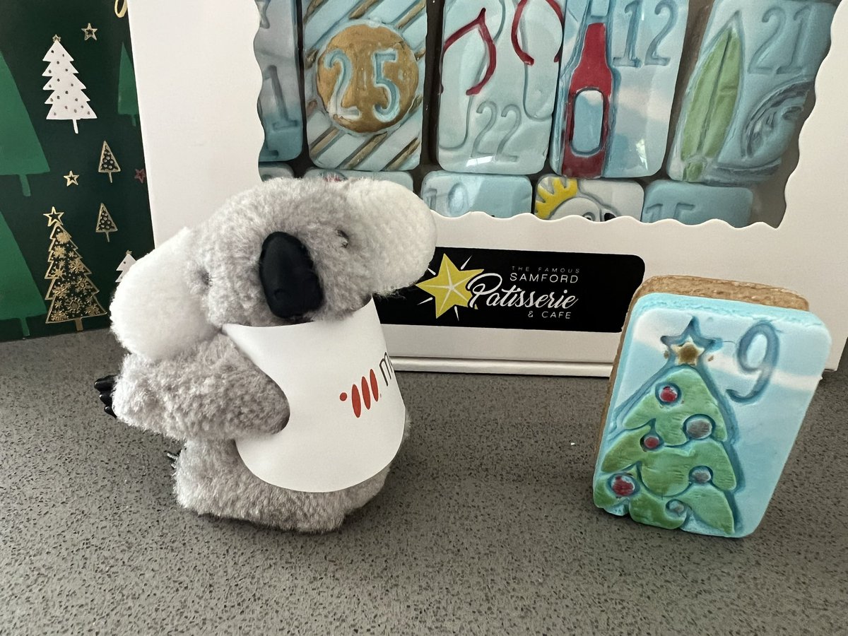 metacoda's tweet photo. Christmas countdown with a #gingerbread #adventcalendar!
Day 8 - O Christmas Tree! ๐ถ a @metacoda koala keen to eat (rather than climb) this #Christmas tree ๐
๐จ๐โค๏ธ๐๐งโ๐
#metacodakoala #samfordpatisserie #patisserie #cliponkoala #koalafun #christmascountdown #adventday9 https://t.co/HPKH72hVit