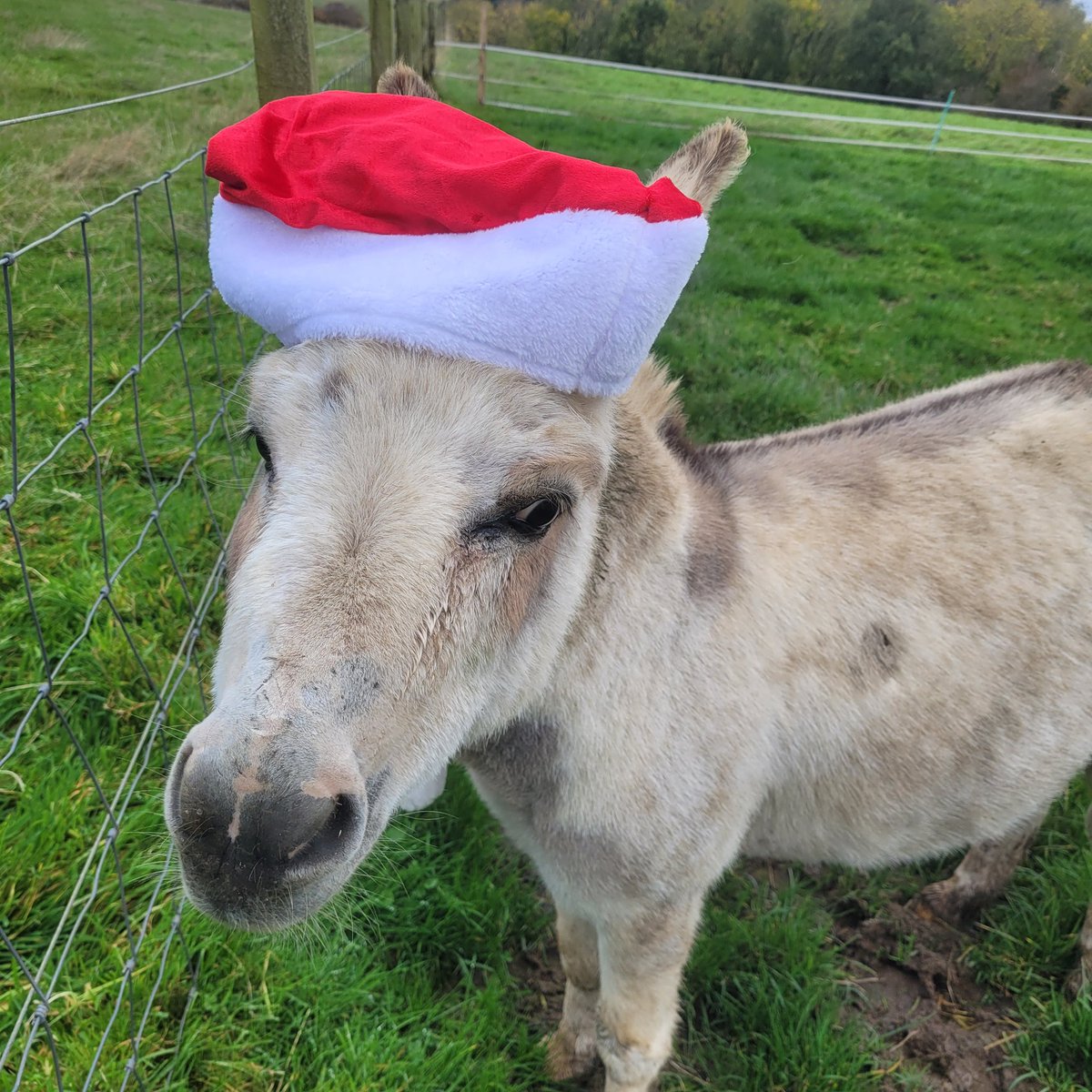 Day 3 of festivities on the farm. #outdoornursery #eytagteam