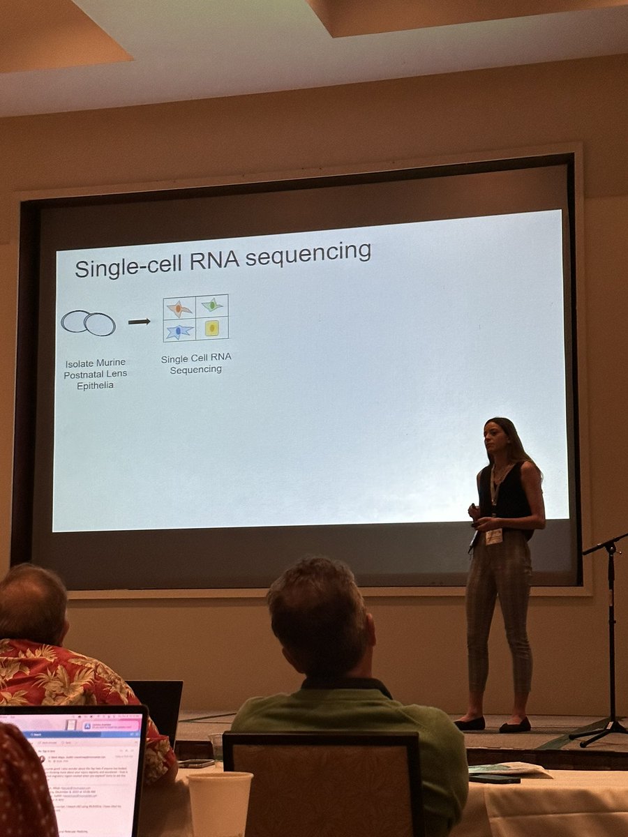 Excited to have given my first ever talk at the #InternationalConferenceOnTheLens on applying #scRNAseq to lens epithelial cells! So grateful for the NFER travel award and meeting such an amazing and inspiring community