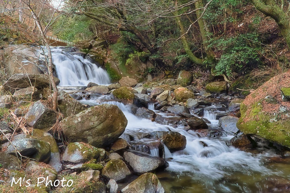 houwakougyou's tweet photo. 📷2022,12,03
ー琴音/ #風景 ー
-The sound of the koto/ #Landscape -
#waterscape #waterfall #waterfallbasin #clearstream #mountainstream #waterside #moss #fallenleaves #deadtree
#landscapePhotography #landscapecaptures
#light_nikon #Nikon #D780 #SIGMA
#Rawtherapee #Nikcollection https://t.co/6siCxSCIsn
