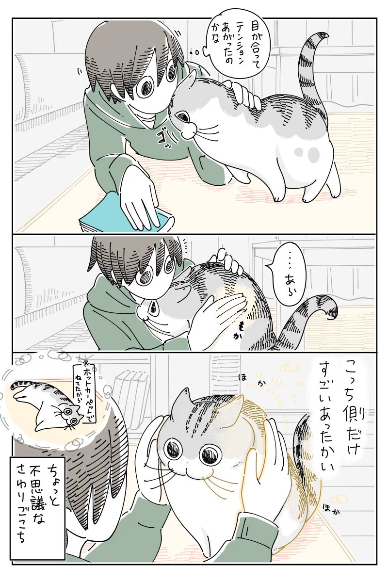 終始可愛くて癒される！ホットカーペットと猫のお話を描いた「猫漫画」！