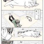 終始可愛くて癒される!ホットカーペットと猫のお話を描いた「猫漫画」!