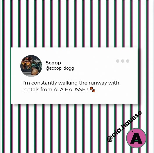 AlaHausse's tweet image. Our community feels like models in the runway shows once they download the app and rent clothes there.

Download Our App on iOS/Android Canada and USA! 🇨🇦🇺🇸

#fashionapp #styleapp #torontofashion #usafashion #torontoclothing #nycfashionweek