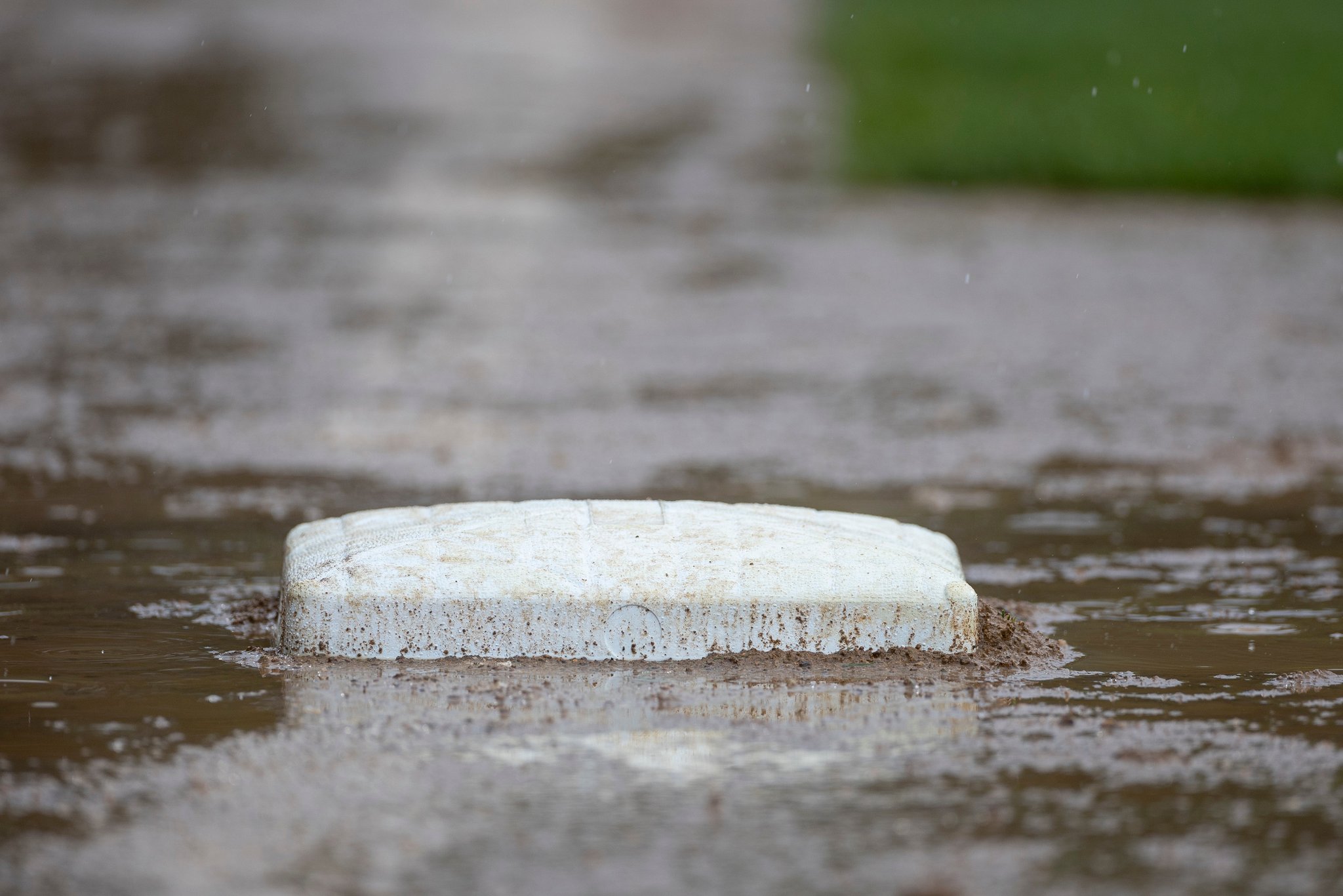 [情報] 澳職喙頭蜥　12/10 台灣日預告