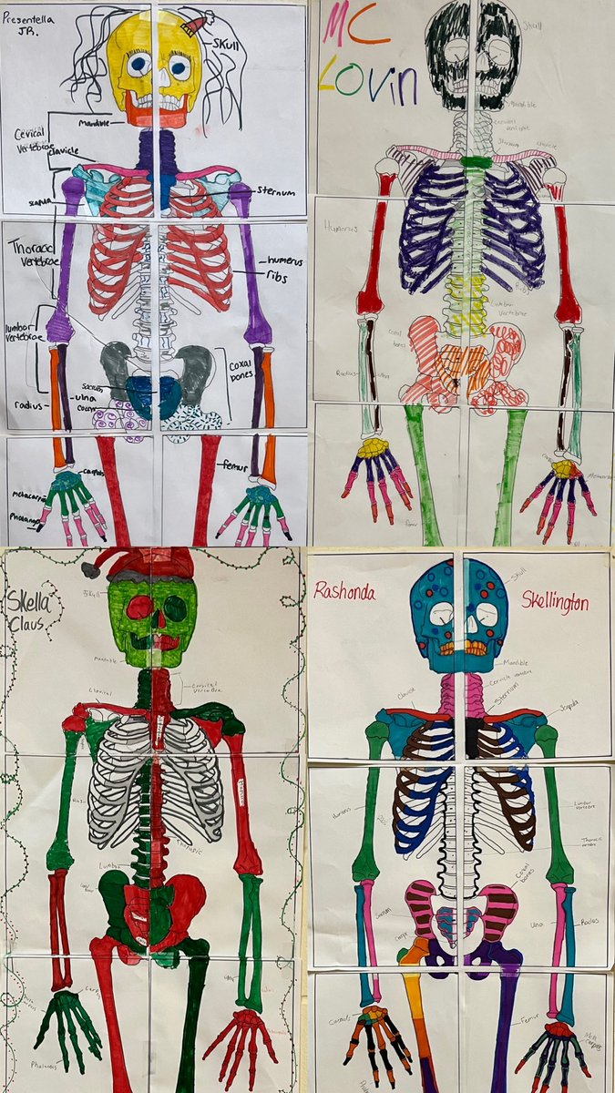 This week, students labeled and designed a life-size skeleton  in hopes of winning croc jibbitz if they were voted best skeleton! The contest continues on Instagram! Love seeing the students' creativity in this activity 🤗 <a href="/cte_mainland/">Mainland CTE</a> <a href="/Mainlandhigh/">Mainland High School</a> <a href="/mmfraine/">Missy Fraine</a> <a href="/HilarieBlum/">Hilarie Blum</a>