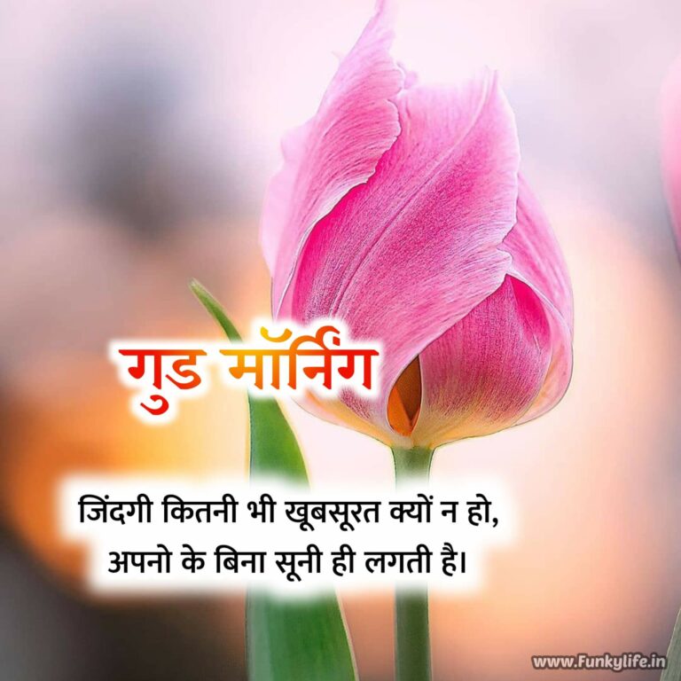 सुप्रभात दोस्तों