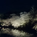 ツイートに含まれる画像