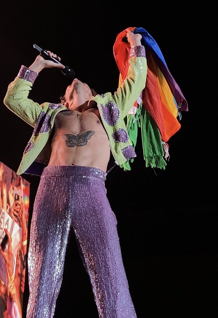 Harry on stage in Rio De Janeiro #LoveOnTourRioDeJaneiro 
Via lovvesbiebs