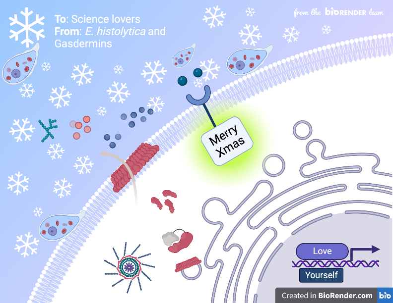 shanfrombeijing's tweet photo. #sciencegreetings Hello Science Lovers! Are you ready to celebrate holiday with the most stunning parasite E. histolytica and our super star Gasdermin?🤓🥳😊🥤🍻❤️ https://t.co/bby3tZEdtu