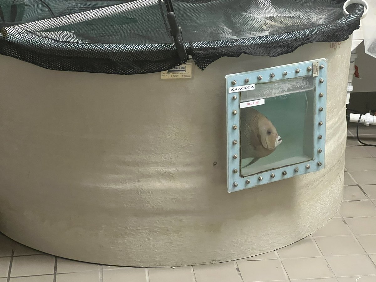 Paul D Brinkman tweet media