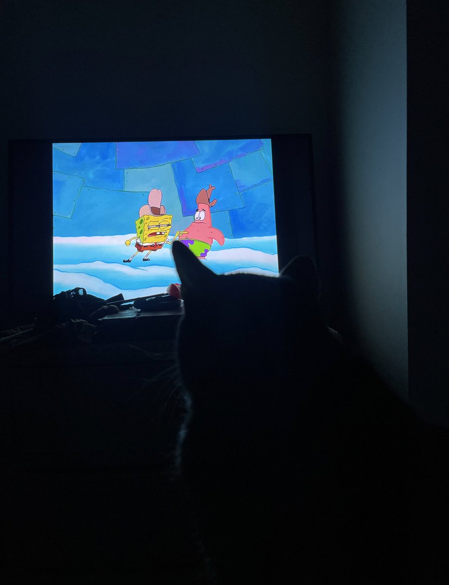 Cam From Twittter tweet media