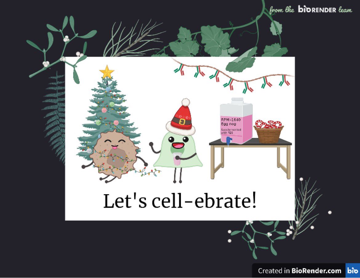 z_hamoodi's tweet photo. Happy Holidays everyone!
#sciencegreetings @BioRender https://t.co/KeIyGtycAj