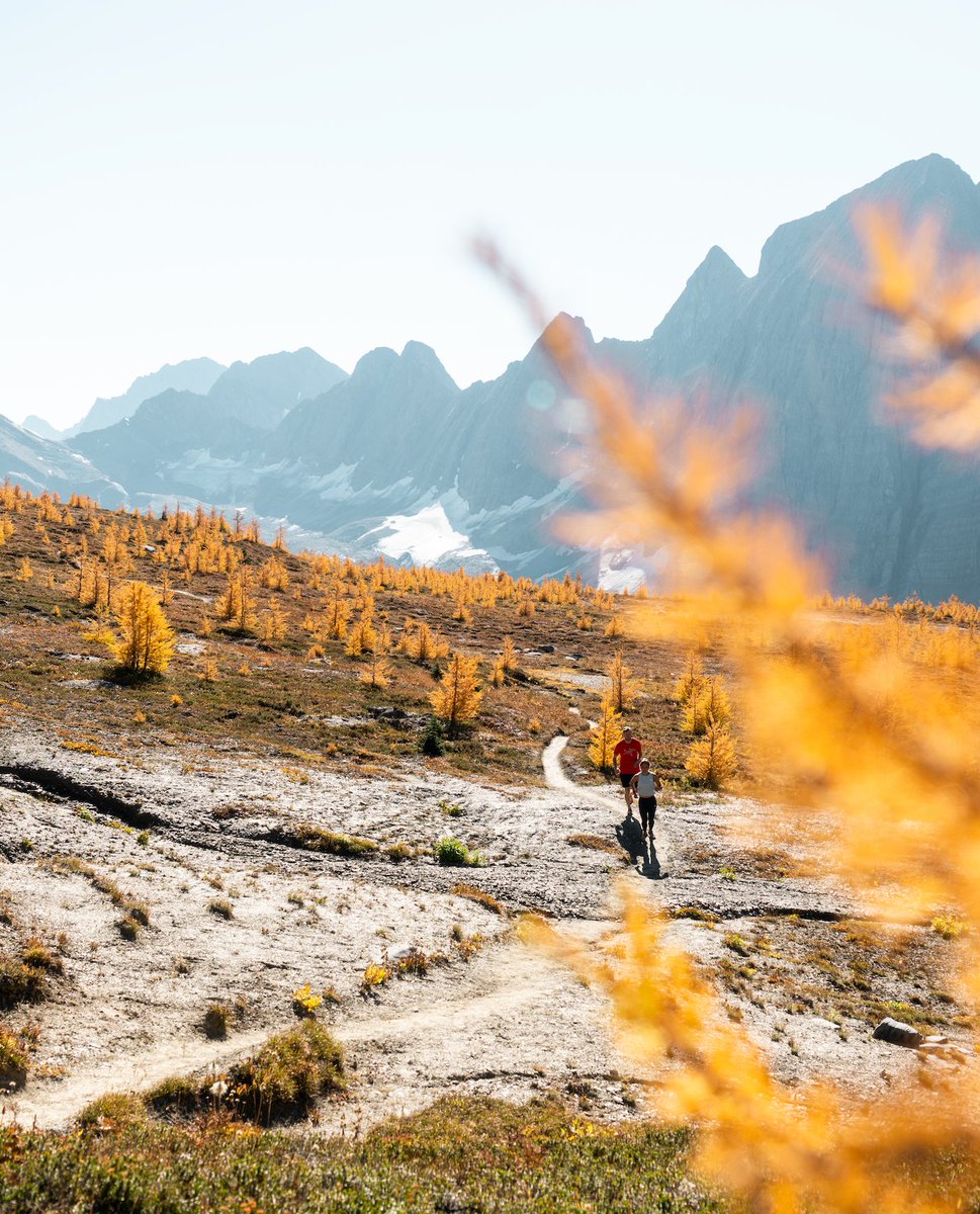 LUNAsandals's tweet image. What makes you feel alive during the winter season? Is it family? Adventure? Good food? Fresh air? 

Be sure to check your VITAL signs during these upcoming weeks/📈 

What are some of your vitals? 

#vitalsigns #healthbreak #wintermode