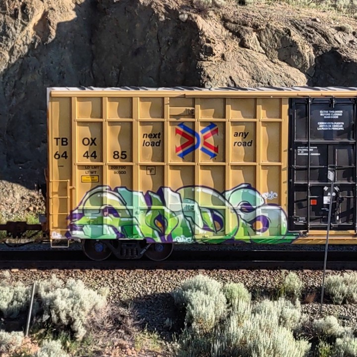 GraffitiExpress's tweet photo. awds
#kamloops #train #graffiti #art
#awds https://t.co/vNiNM5fNfA