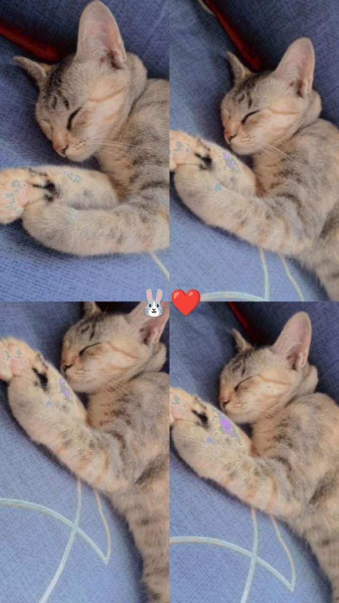 คุณนาย นอนทั้งวัน  นอนเเบบ ไม่มีเวลาพักผ่อน หักโหมมาก