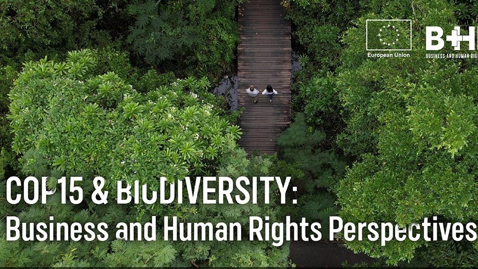 Achim Steiner (@ASteiner) on Twitter photo 2022-12-09 03:57:05 How can businesses & states align w global #biodiversity goals? Why is #COP15 important for the future of Asia? @BizHRAsia_UNDP's latest episode of Asia in Focus spotlights #bizhumanrights & action needed to protect a healthy & sustainable environment. bit.ly/3FB8KYl How can businesses & states align w global #biodiversity goals? Why is #COP15 important for the future of Asia? @BizHRAsia_UNDP's latest episode of Asia in Focus spotlights #bizhumanrights & action needed to protect a healthy & sustainable environment. bit.ly/3FB8KYl