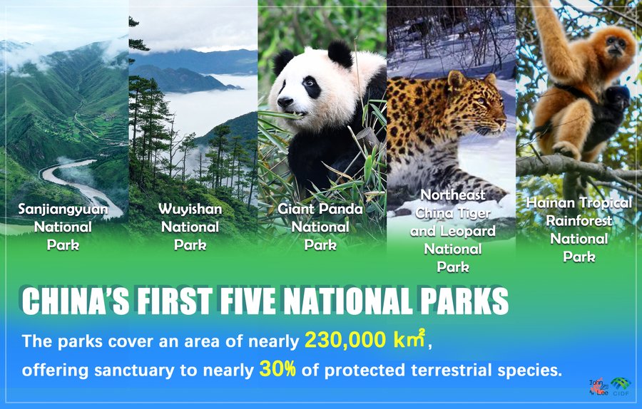 China's first group of national #parks, officially established last October, have made new progress in promoting ecological conservation. The national parks span 10 provinces and regions of China, dedicated to preserving important wildlife sanctuaries as well as precious species.
