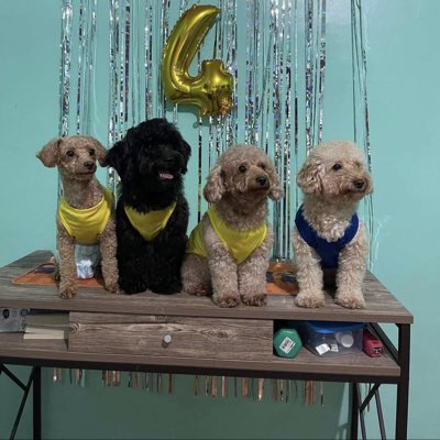 EMJAY0924's tweet photo. #NewProfilePic https://t.co/BRUgdaVSZn