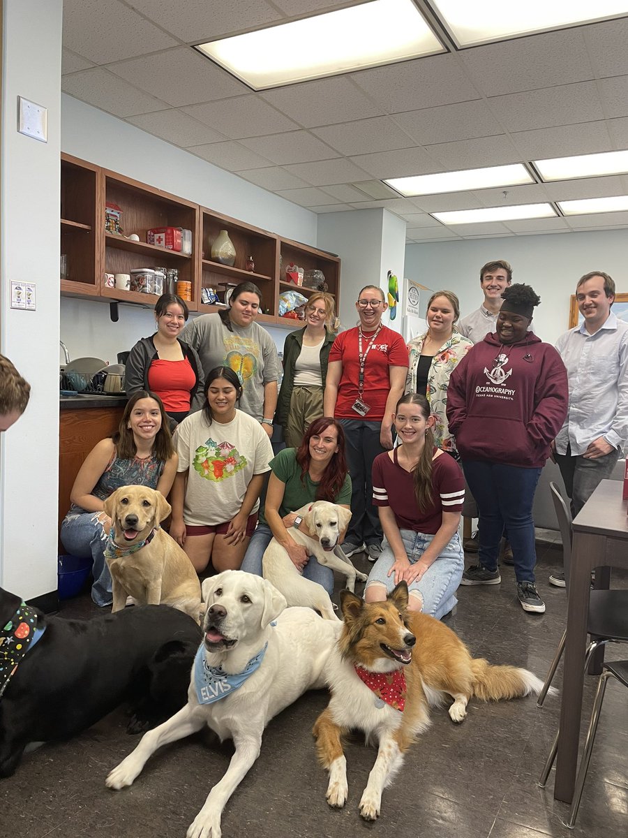 ChrissyWieder's tweet photo. It’s our favorite time of year in the #Wiederlab! Thanks to @PatriotPawsTAMU for a great pre exam destress! https://t.co/Ye85VHbq2f