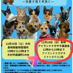 ツイートに含まれる画像