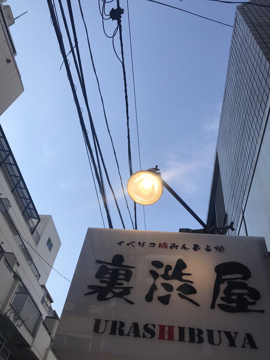 ondoru's tweet photo. 【#渋谷 #イベリコ豚 #ベジョータ #ランチ #トンテキ #コンフィ #カレー ＊ディナーは #カウンター で #串鉄板 ＆テーブルで #石焼 】こんにちは！本日12/9(金)寒いけどスコーンと青空✨今夜はカウンター空いてますよ👋#豚肉 #海鮮 #リニューアル #旨い肉最強💪 #メンチサンド https://t.co/WkkE2r1rZb