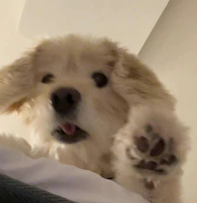 #LUCAS #루카스 #黄旭熙 #ルーカス