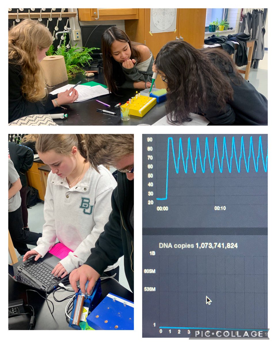 rachelleterada's tweet image. Who Kidnapped Missy Baker? Students made 1 billion copies of DNA today in #forensics using @minipcr to try and find out. #biotech #pcr #YourCommunitySchools
