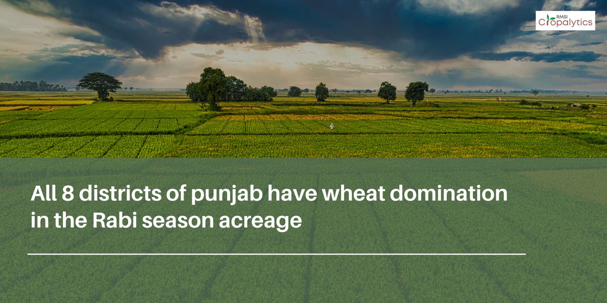 Get insights for this #Rabi season to get early heads-up on the likely #acreage, #crophealth, distress hotspots, #weatheroutlook, expected production, harvest dates, and more.
<a href="/cropalytics/">RMSI Cropalytics</a>
Want to schedule a demo? Write to us at info@rmsicropalytics.com