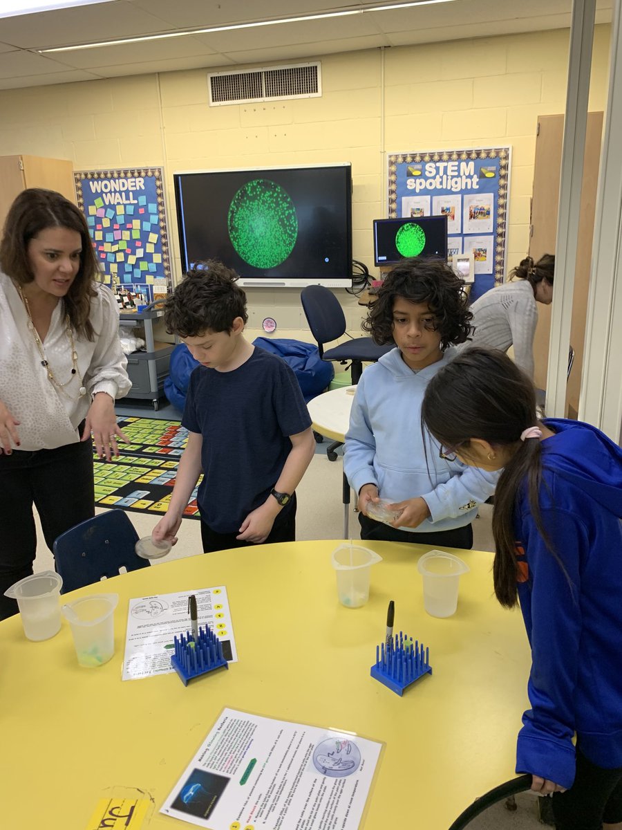 Cristie Tursi tweet media