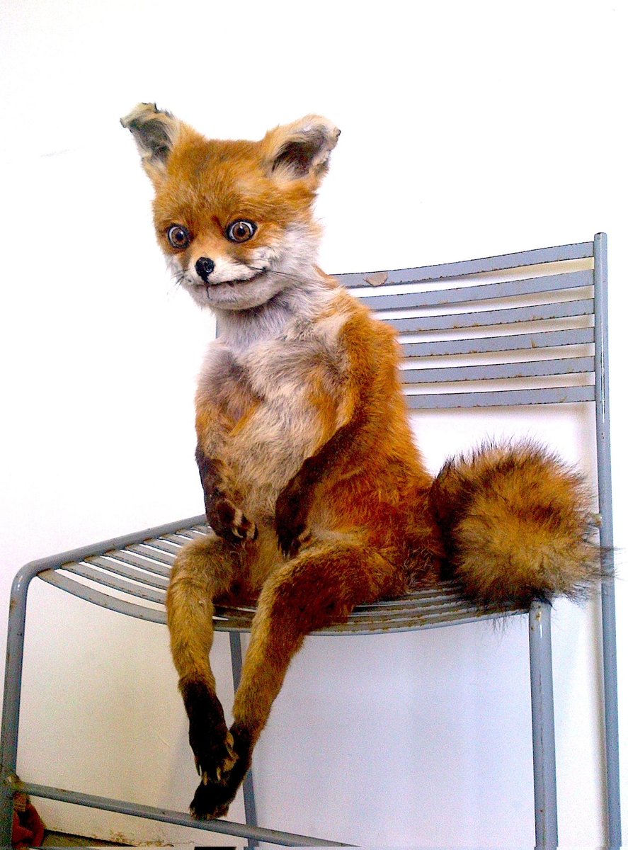 maggicgem's tweet photo. Staying up because I don't want to go to work in the morning, take sleep meds because I know work will be worse if I don't get reat, anxiety about work keeps me up anyway, help https://t.co/CTPfrduyiU