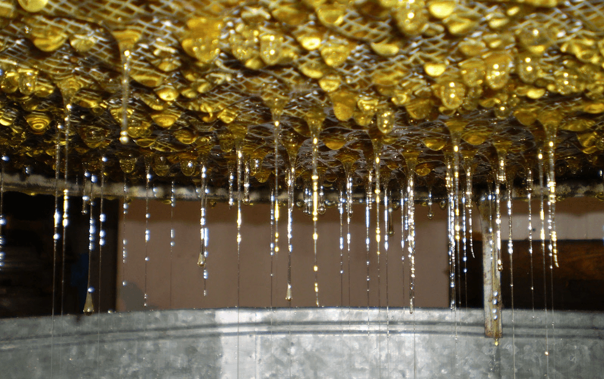 LaTiendaDelApicultor tweet media