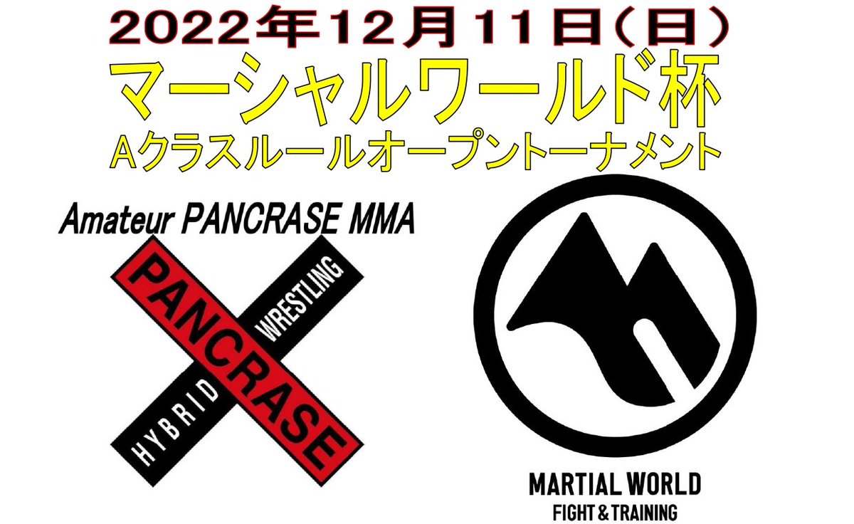 大量入荷 新品、未使用 パンクラス PANCRASE チャンピオンベルト 新品
