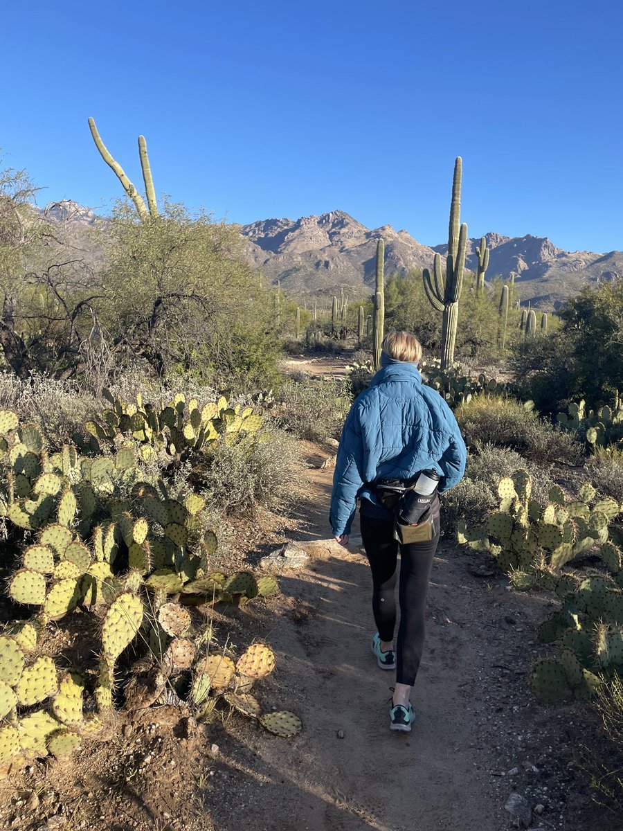 totallytucson's tweet photo. Happy Thursday, #Tucson! 66 and sunny today. 42 this morning on my hike in #SabinoCanyon - loving the wintery chill air to get the AM going properly! Happy Holidays! #totallytucson #hking https://t.co/eOB8Z0TEKh