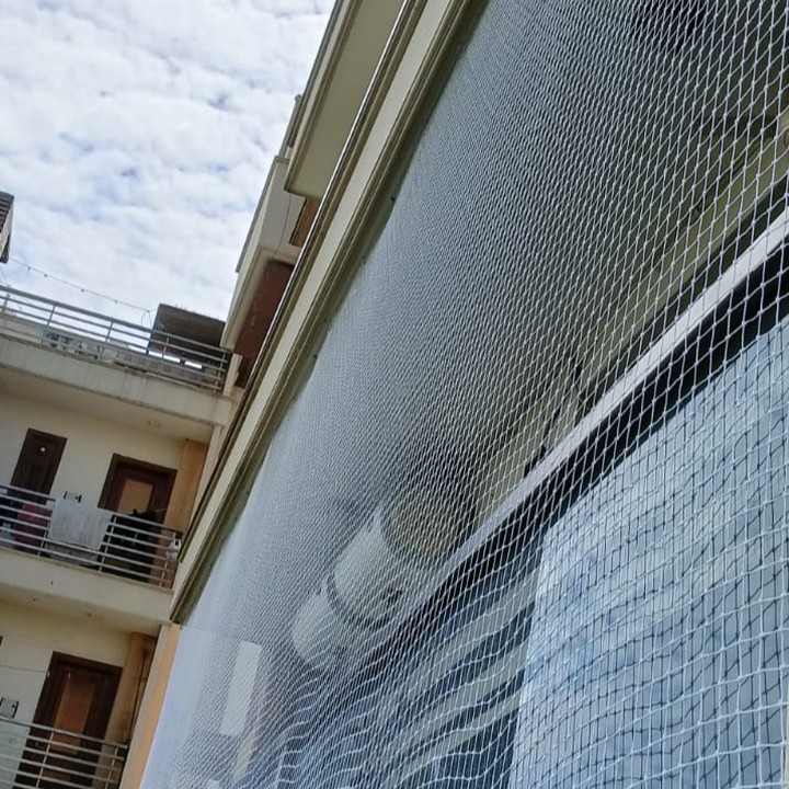 avglobalbirdnet's tweet image. Bird net with zip installation work by Av Global Bird Netting. Cover your open surfaces with anti pigeon net to block birds entry in balconies, windows and warehouses. 
#antibirdnet #birdnet #balconynet #transparentnet
