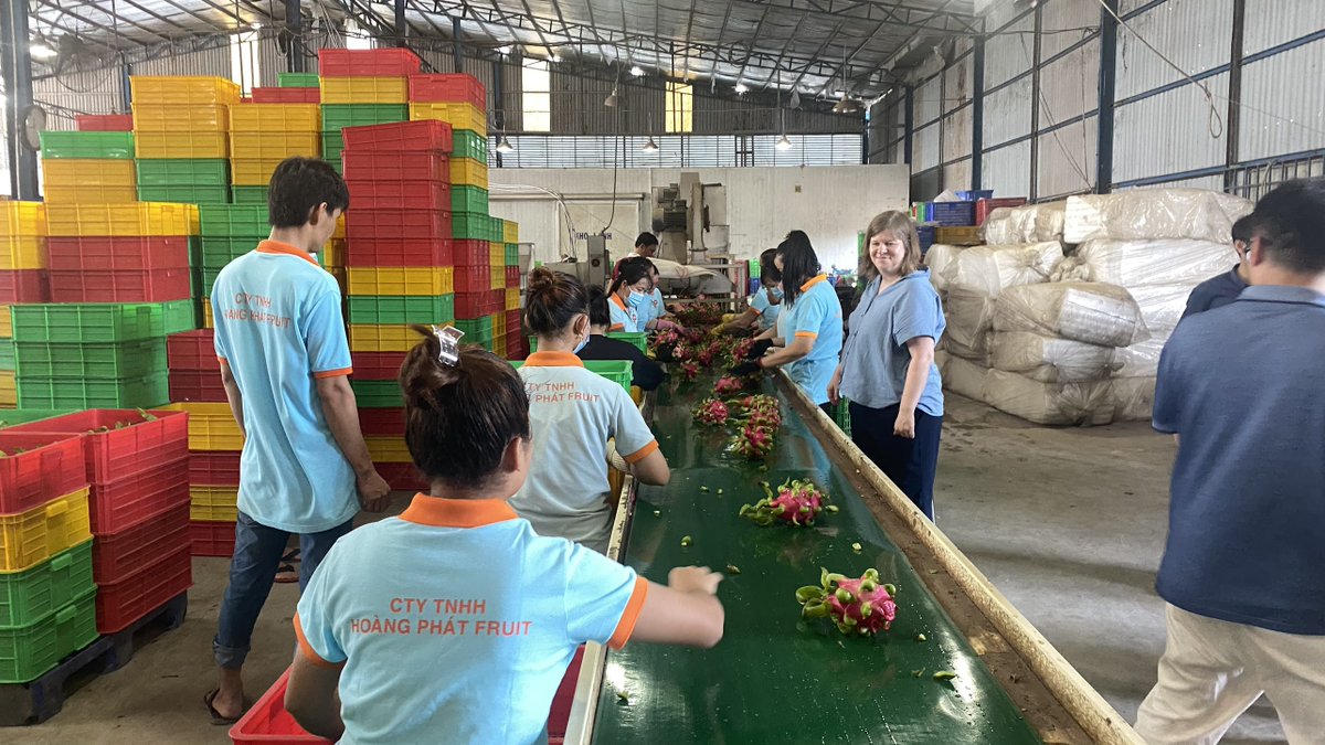 GQSP Vietnam tweet media