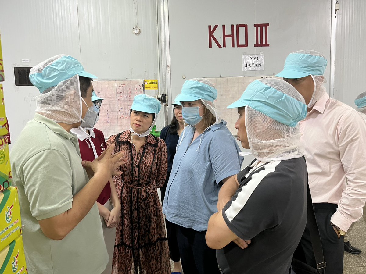 Yesterday, our donor, partners & experts visited GQSP-supported #mango export model at Hoang Phat Fruit Enterprise to understand the challenges of fresh fruit export as well as the technical advice we are providing to help Vietnam SMEs increase their #qualitycompliance capacity.
