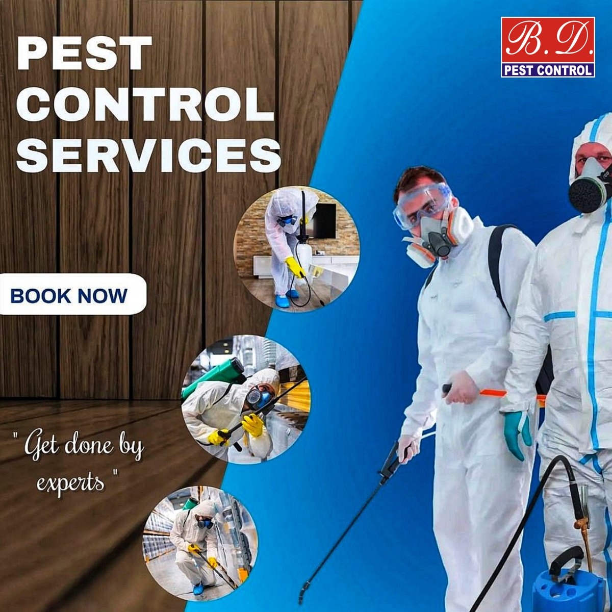 bdpcindia's tweet image. Don’t let pests suck the life out your beautiful lawn. Call the experts today 🚧
#bdpestcontrolindia #bdpcindia #BDPestControl #bdpci #kolkatapestcontrolservice