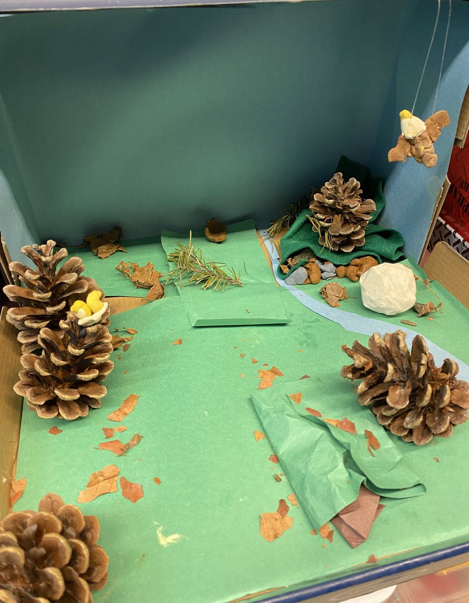 morganmonkman's tweet photo. Using recycled and natural materials, these Grade 2/3 students created models that showcased their understanding of local biodiversity and ecosystem dynamics 🌲 @SD62_Sooke https://t.co/cyBeuVUbab
