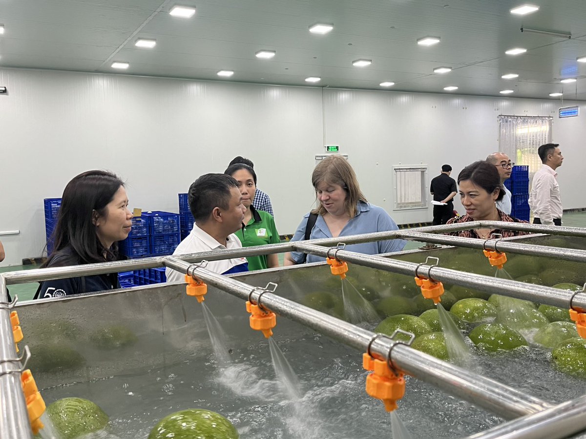 GQSP Vietnam tweet media