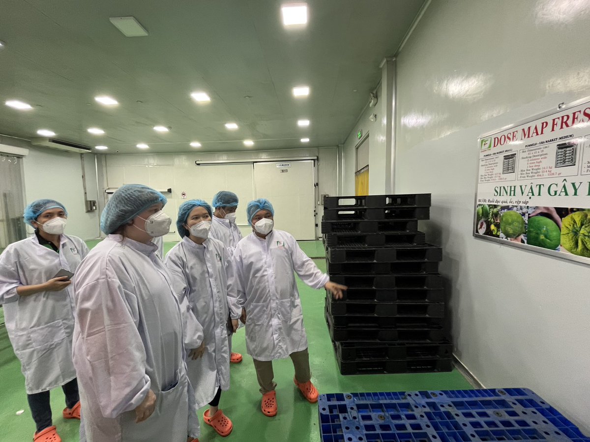 In the GQSP field trip, meetings and discussions with various #pomelo #valuechain actors including farmers and exporters gave the delegation an overview of the #pomeloindustry &amp; opportunities enabled by our support, such as the successful first pomelo export to the US last month.