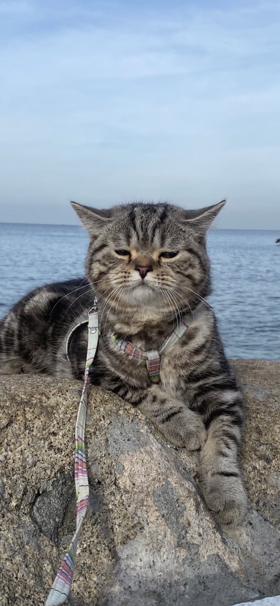 KeamPim's tweet image. พาคุณลุงมาพักผ่อน😂