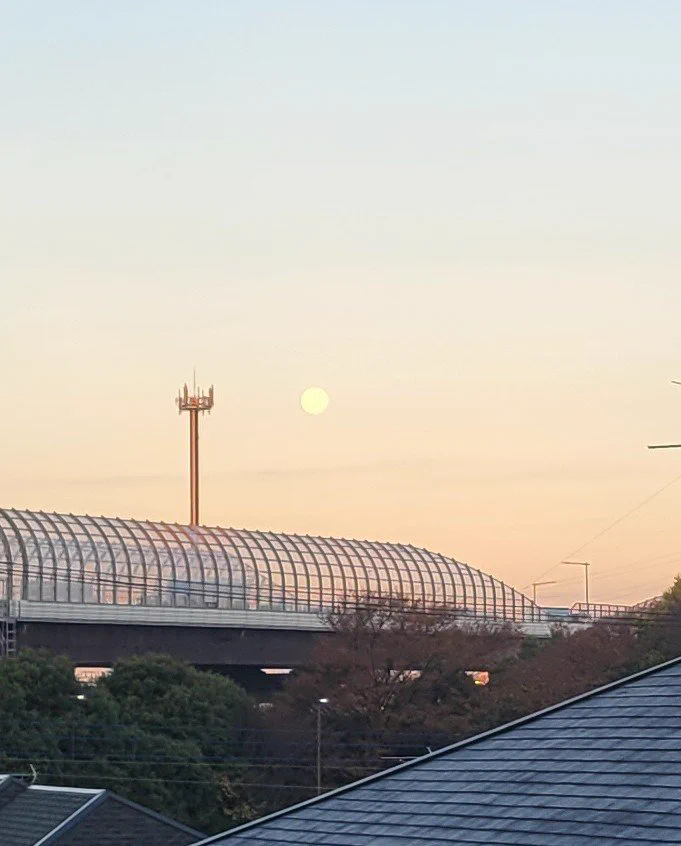 朝までキレイでしたよ🎵  