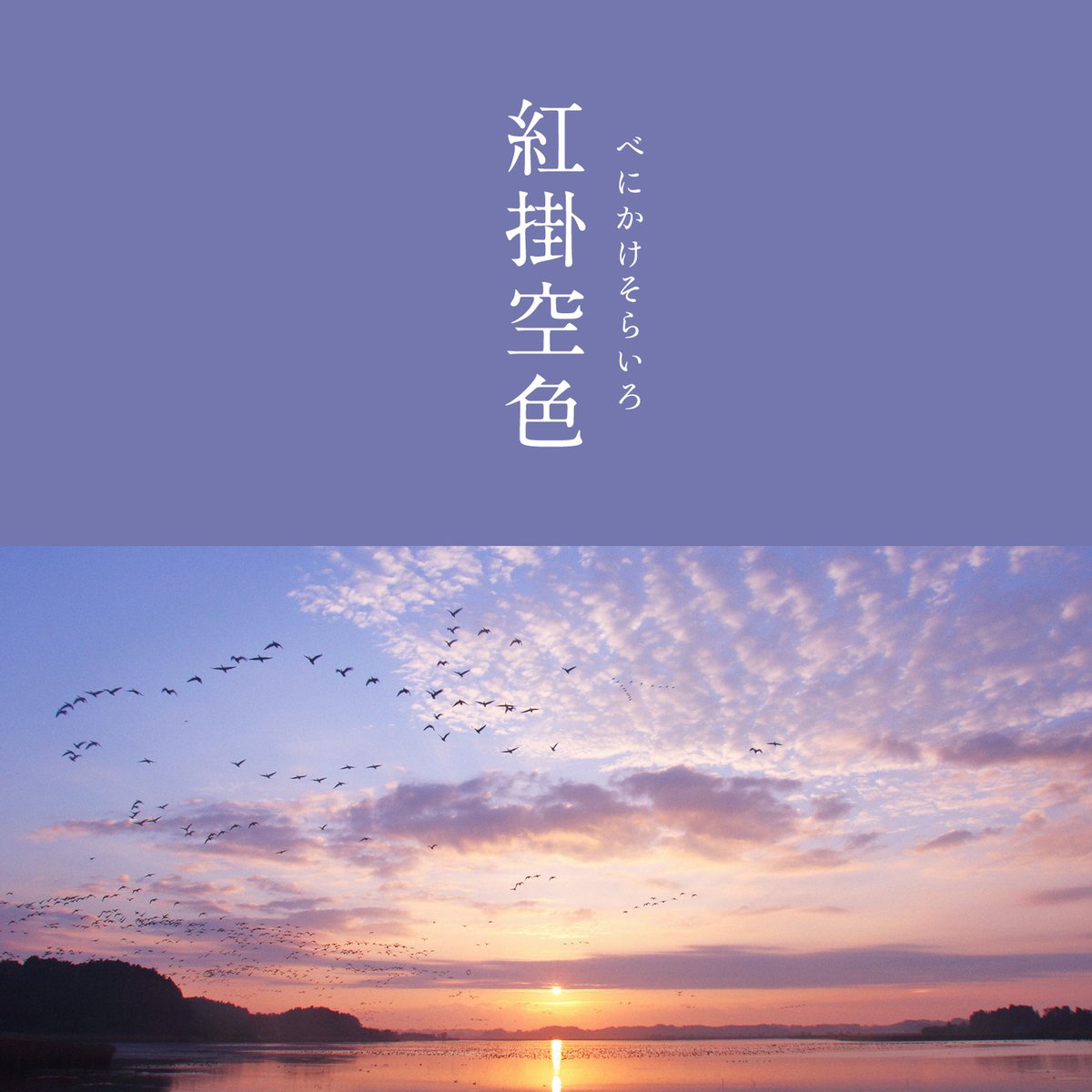 nishikawa_sleep's tweet photo. ＼あなたの投票で限定タオルが決まる！？／
暦生活×西川の限定コラボキャンペーン⭐️

Wフォロー&amp;RTでQUOカードPayがその場で当たる！

1️⃣@543lifeと @nishikawa_sleep を両方フォロー❗
2️⃣この投稿をRT
3️⃣結果が届く

Wチャンス✨
タオルにしてほしい色をタップ＆投稿で10名様に抽選でタオルが当たる🎵