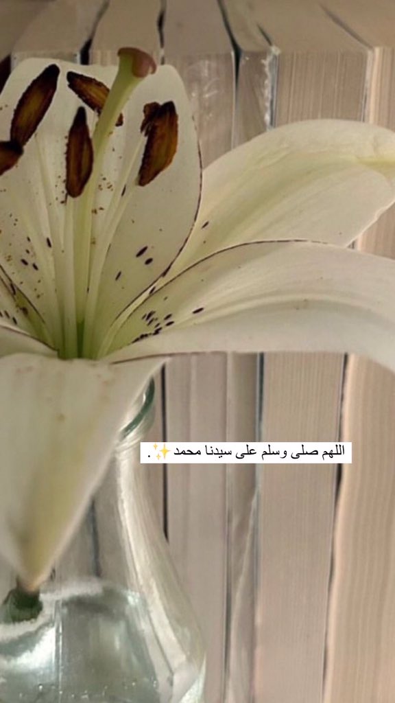 blmaysoon (@blmaysoon) on Twitter photo 