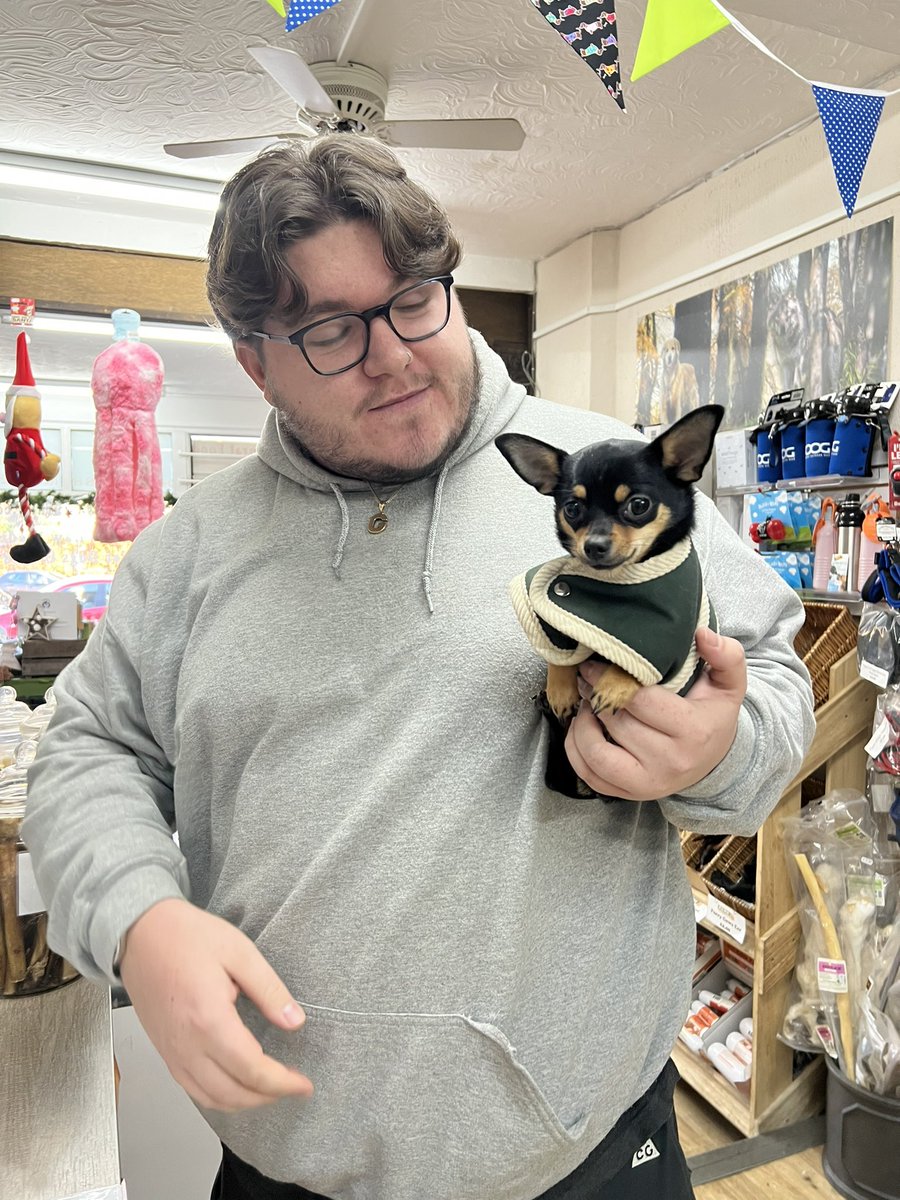 PawsNaturally's tweet image. It was so lovely to meet George and super cute little Lolly yesterday! We are looking forward to seeing you again soon! 🧡🐾