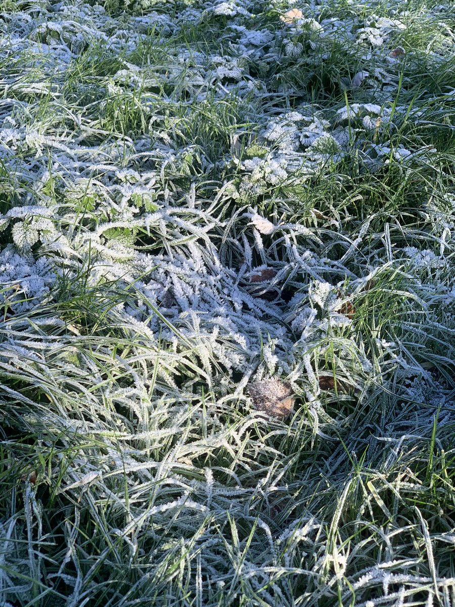 Lucy Sheerman tweet media