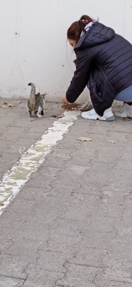 Gülşehir’den selamlar 🥹🐶🐈
