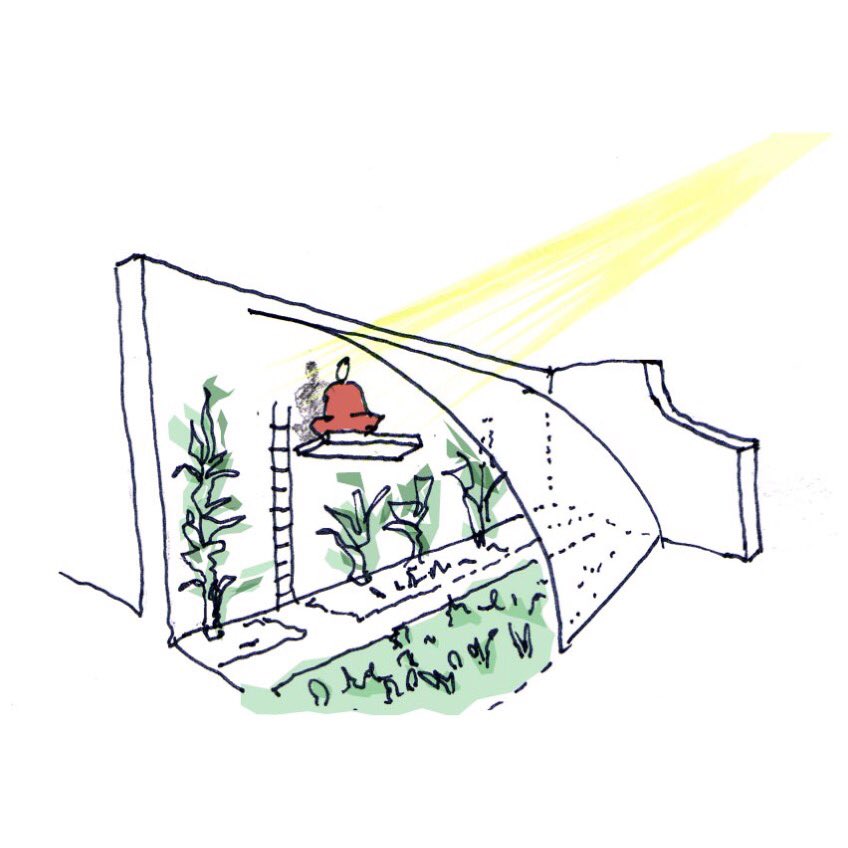 We have been commissioned to research and develop the Naturhus concept: building homes alongside food growing within a large greenhouse.  #naturhus #greenhouse