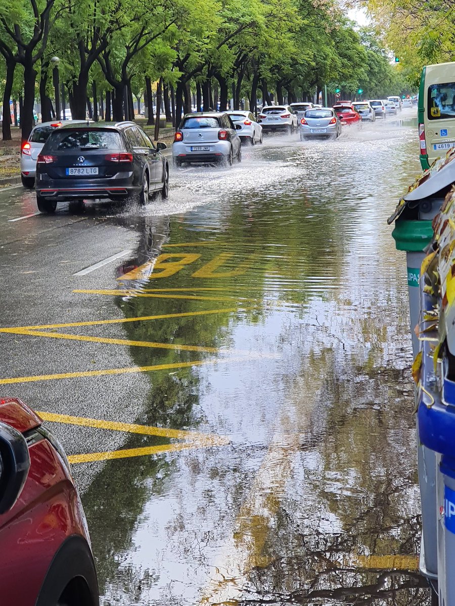 Limpieza de imbornales.
Pedido en JMD, al parecer o no se ha hecho o se hizo de manera muy deficiente.
Distrito Macarena-Norte, Avda Alcalde Manuel Del Valle, el acerado lleno de hojas, peligrosde caídas.
<a href="/Ayto_Sevilla/">Ayuntamiento de Sevilla</a> <a href="/AAVVSanJeronimo/">Asociación de Vecinos San Jerónimo</a>
<a href="/SevillaSucia/">Distrito Este Limpio</a> @SevillaCivica